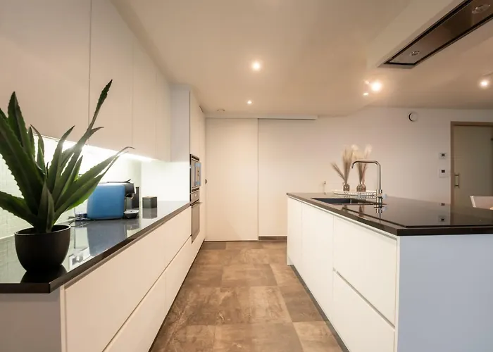 Apartment Apartment Beaufort 76 With Two Terraces By Interhome *